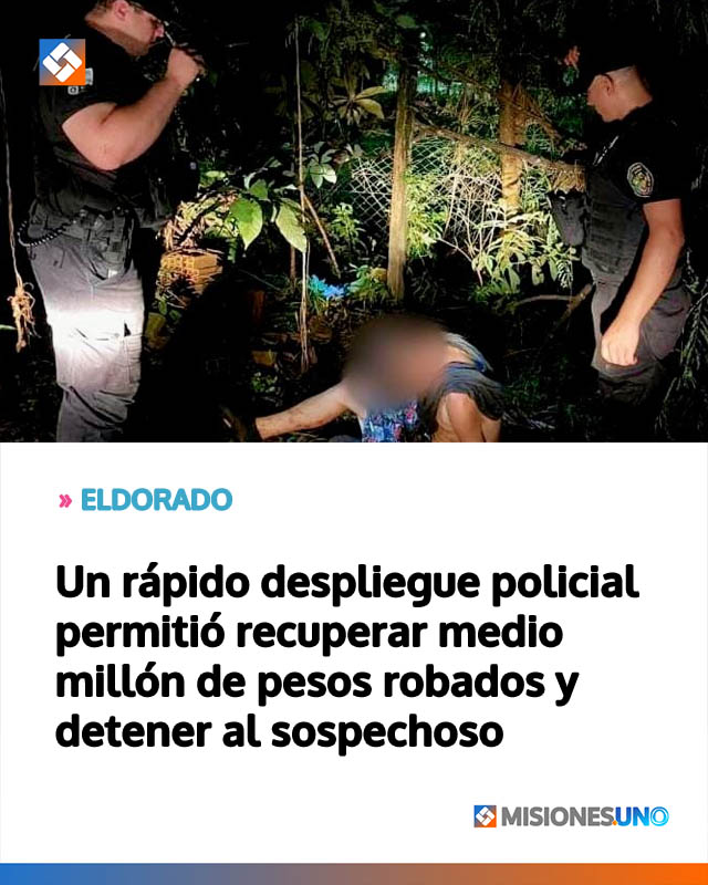 Un rápido despliegue policial permitió recuperar medio millón de pesos robados y detener al sospechoso