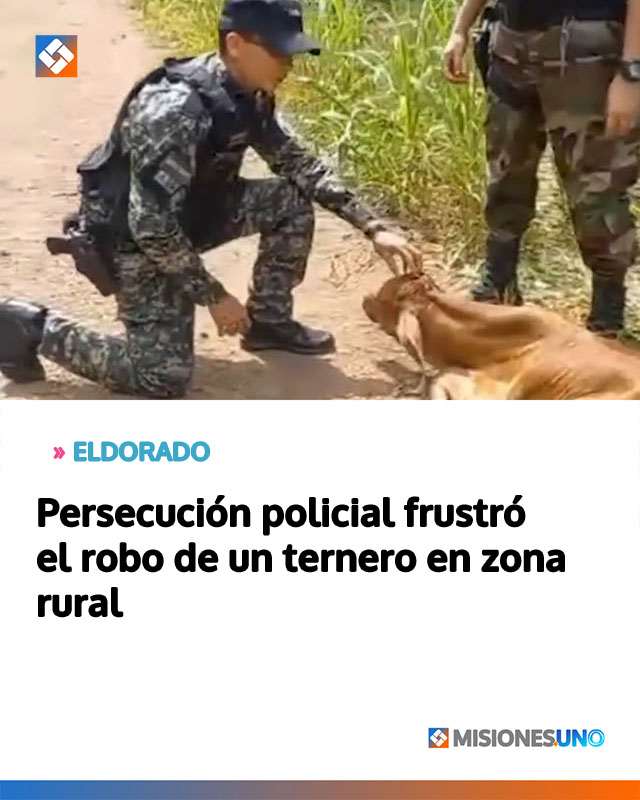 Persecución policial frustró el robo de un ternero en zona rural