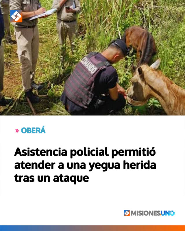 Asistencia policial permitió atender a una yegua herida tras un ataque