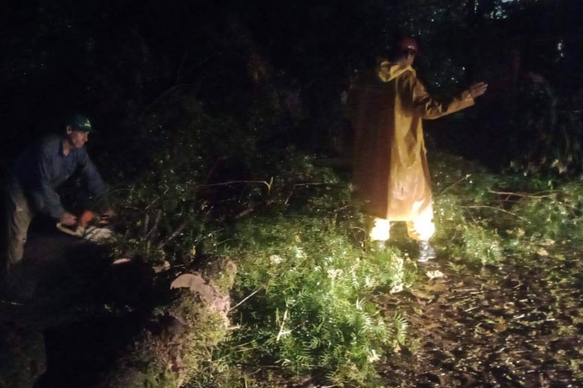ELDORADO: Tras el temporal, despejaron calles por caída de árboles y ramas