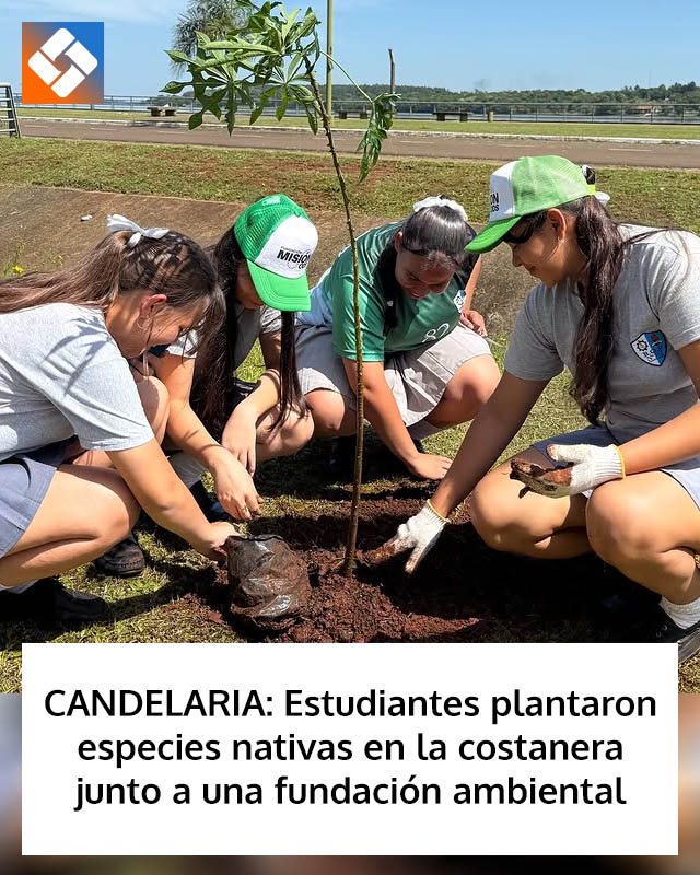 CANDELARIA: Estudiantes plantaron especies nativas en la costanera junto a una fundación ambiental