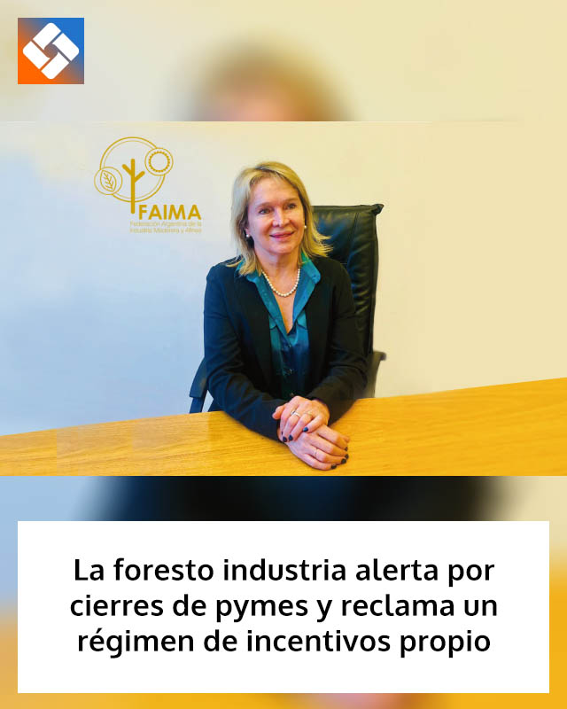 La foresto industria alerta por cierres de pymes y reclama un régimen de incentivos propio