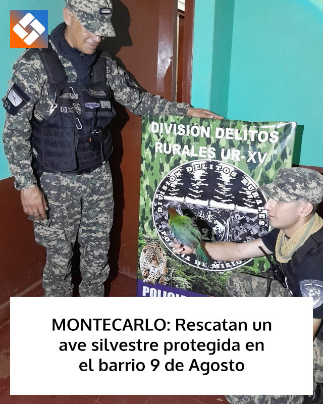 MONTECARLO: Rescatan un ave silvestre protegida en el barrio 9 de Agosto