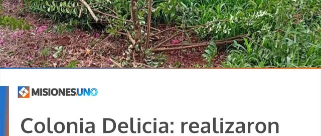 Colonia Delicia: realizaron trabajos de poda y retiro de gajos en distintos sectores de la localidad