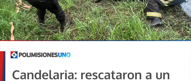 Candelaria: rescataron a un caballo que había caído en un pozo de agua en el barrio San Jorge